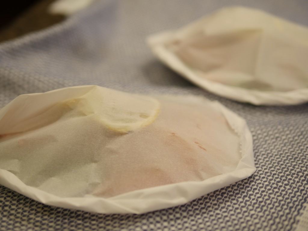 Best Parchment Salmon Recipe