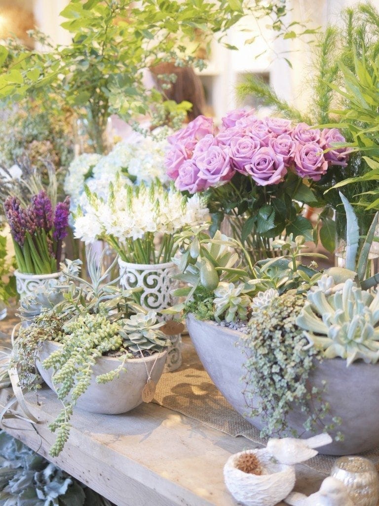 Sterling pink roses and succulents.