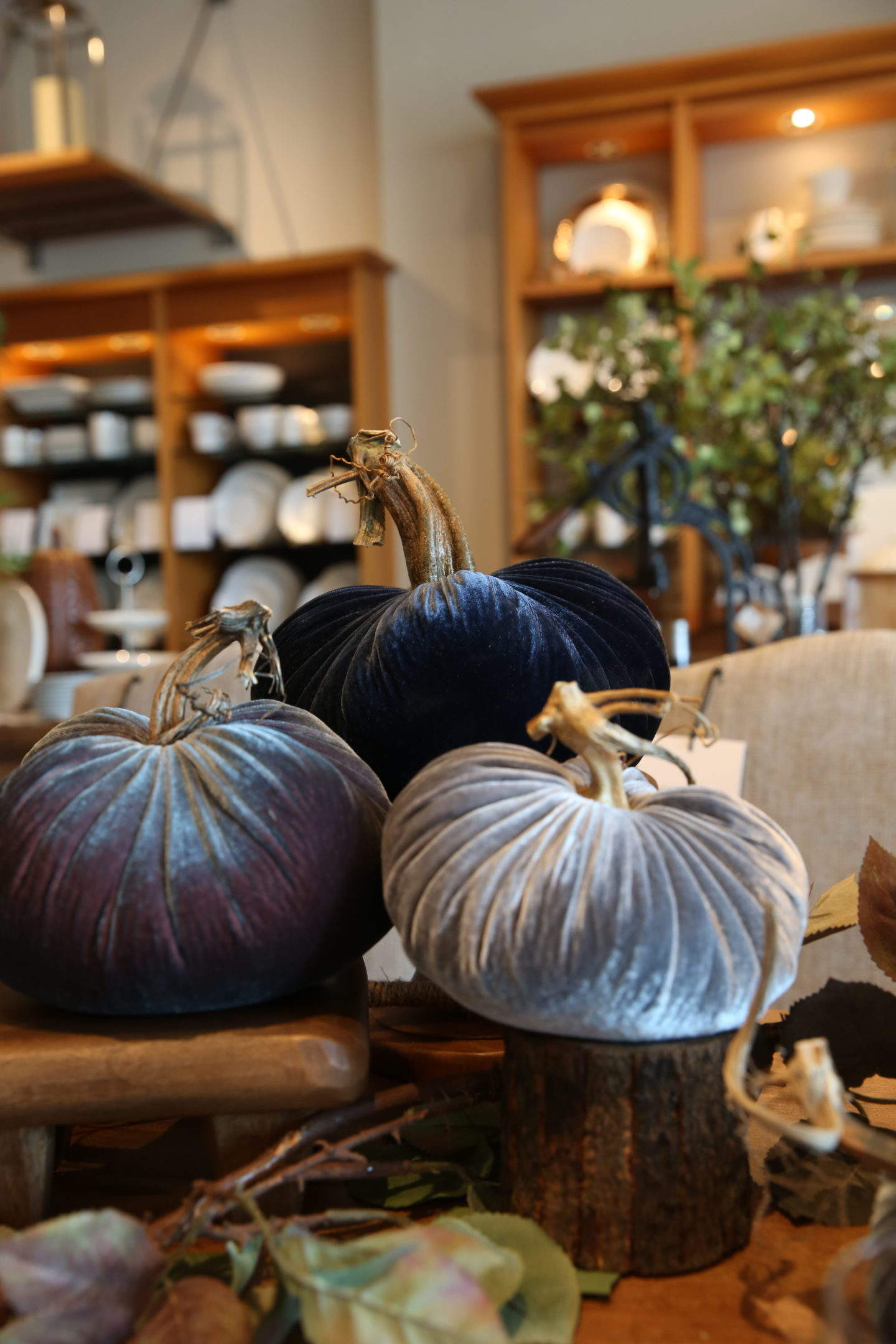 bluegraygal Plush Pumpkins in Pottery Barn
