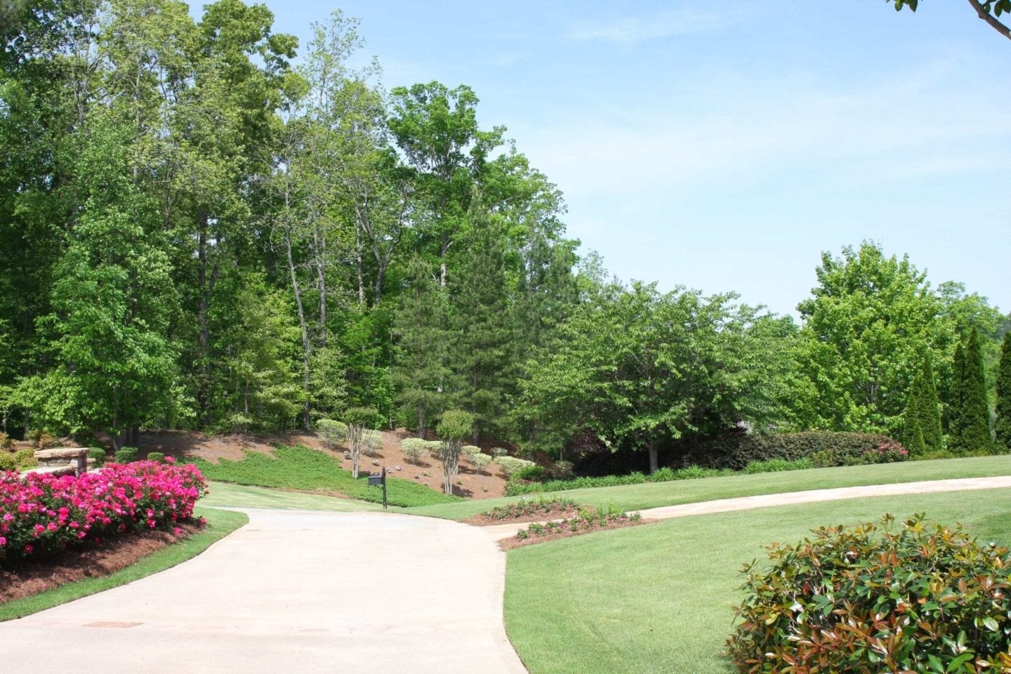 Atlanta trees and greenery.