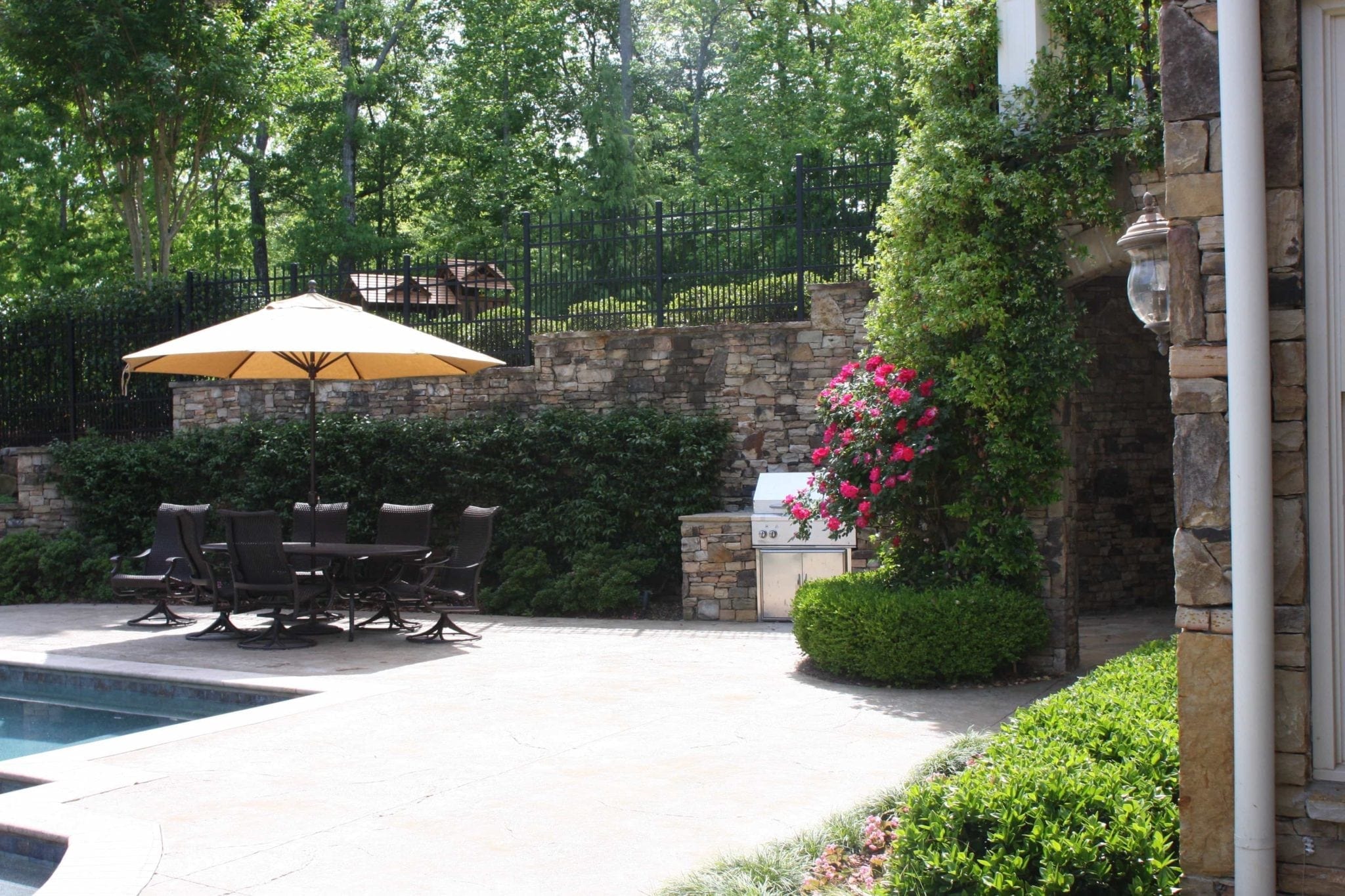 Knock Out Roses - Images of how we use them in our landscaping and ... Knock Out Roses - Images of how we use them in our landscaping and ...