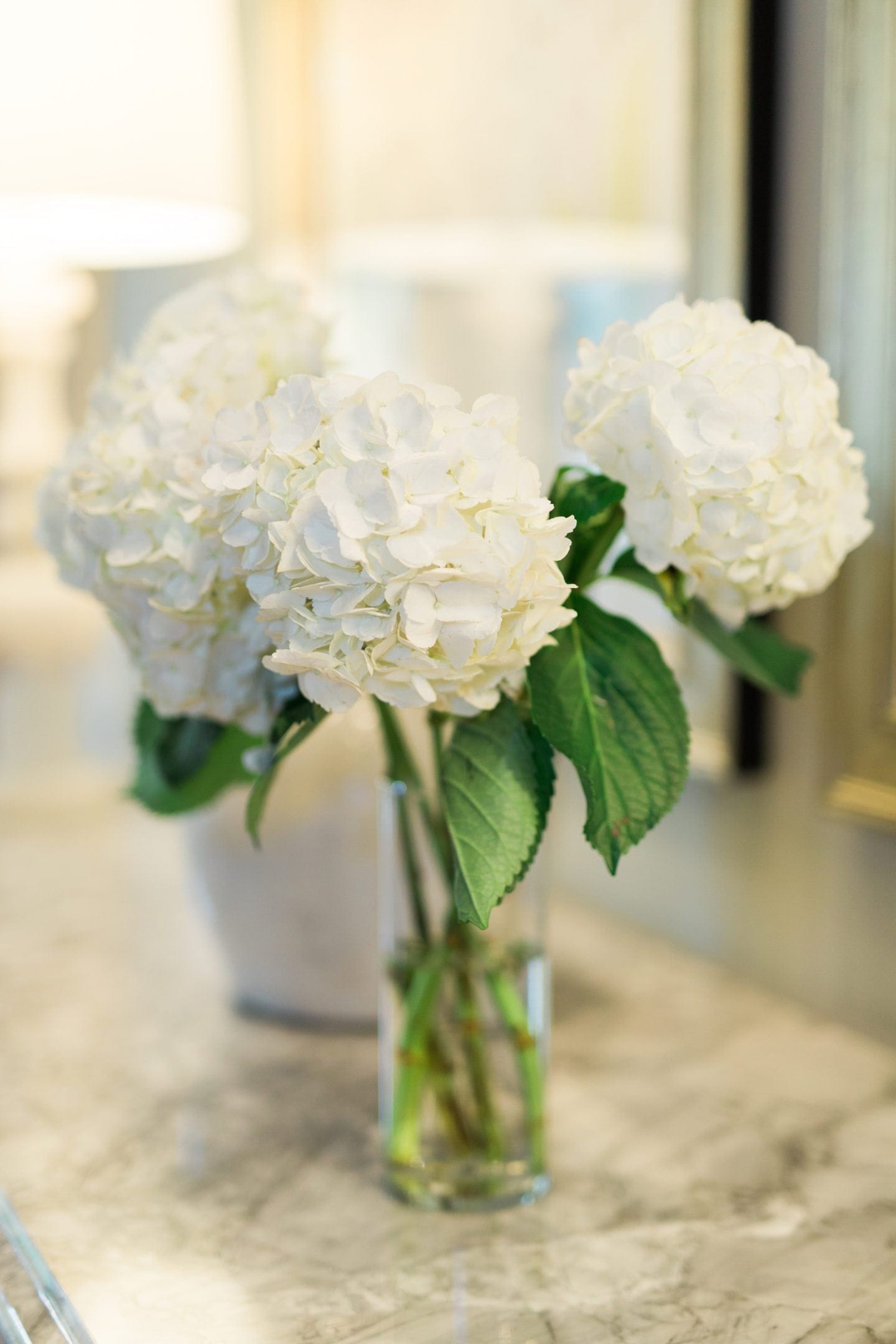 Easy tips to keep your hydrangeas alive longer.
