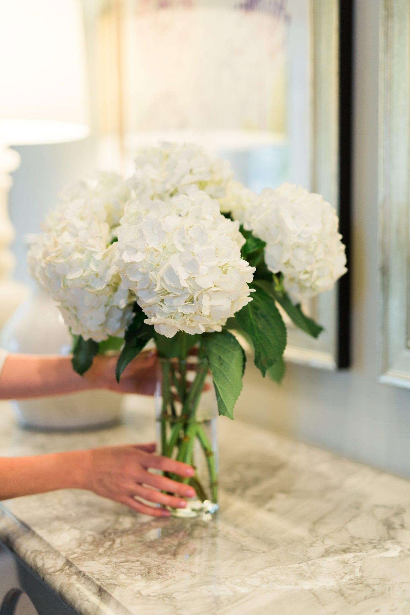 How to keep flower arrangements alive longer. White hydrangea flower in a clear vase.