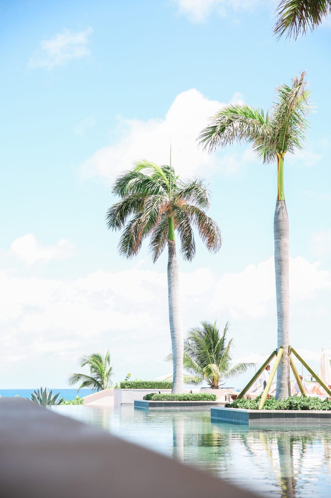 Four Seasons Resort Anguilla view of Serenity Pool with palm trees. Why use a travel agent.