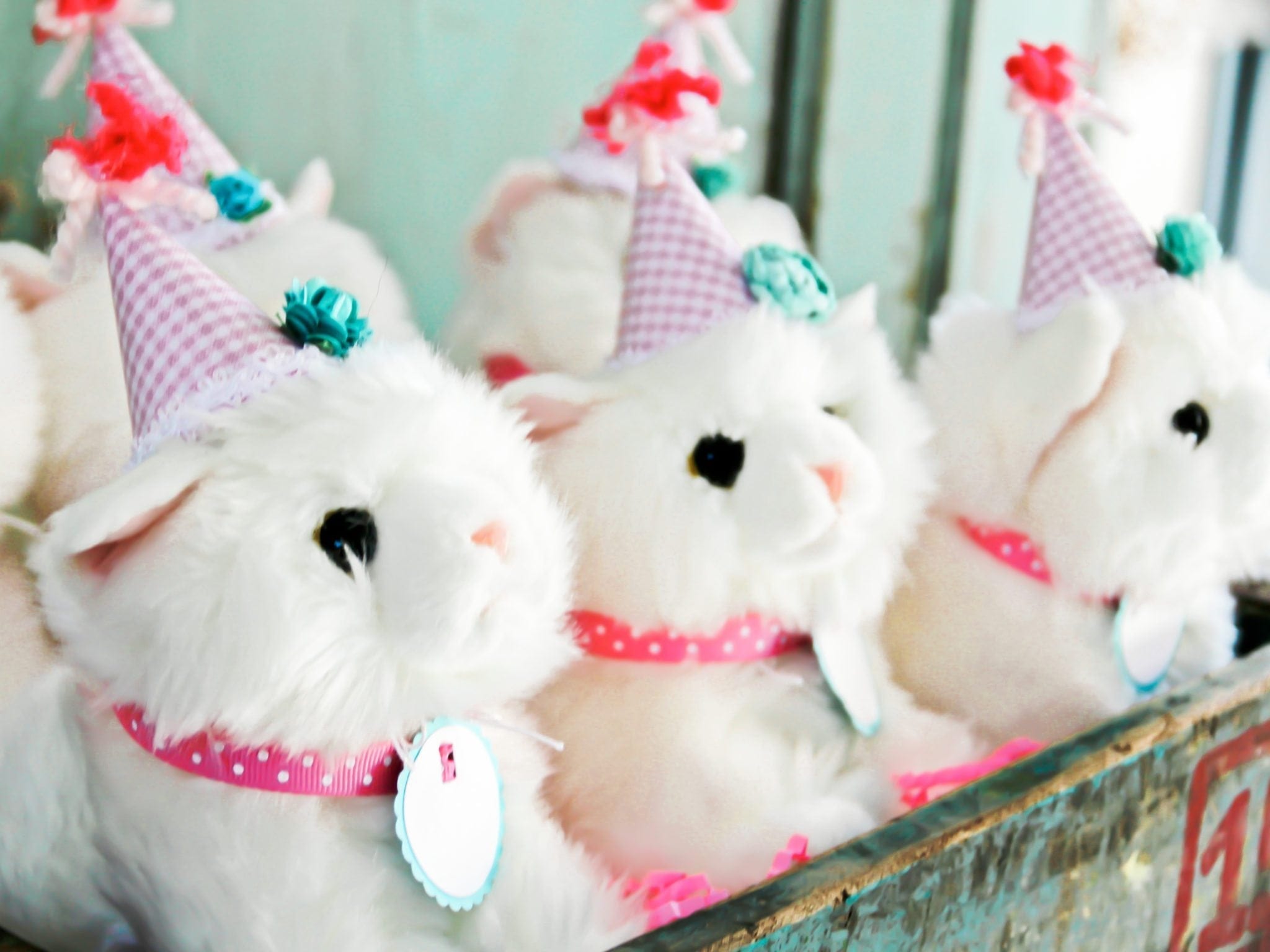How To Throw The Best Kitten Party Ever 
