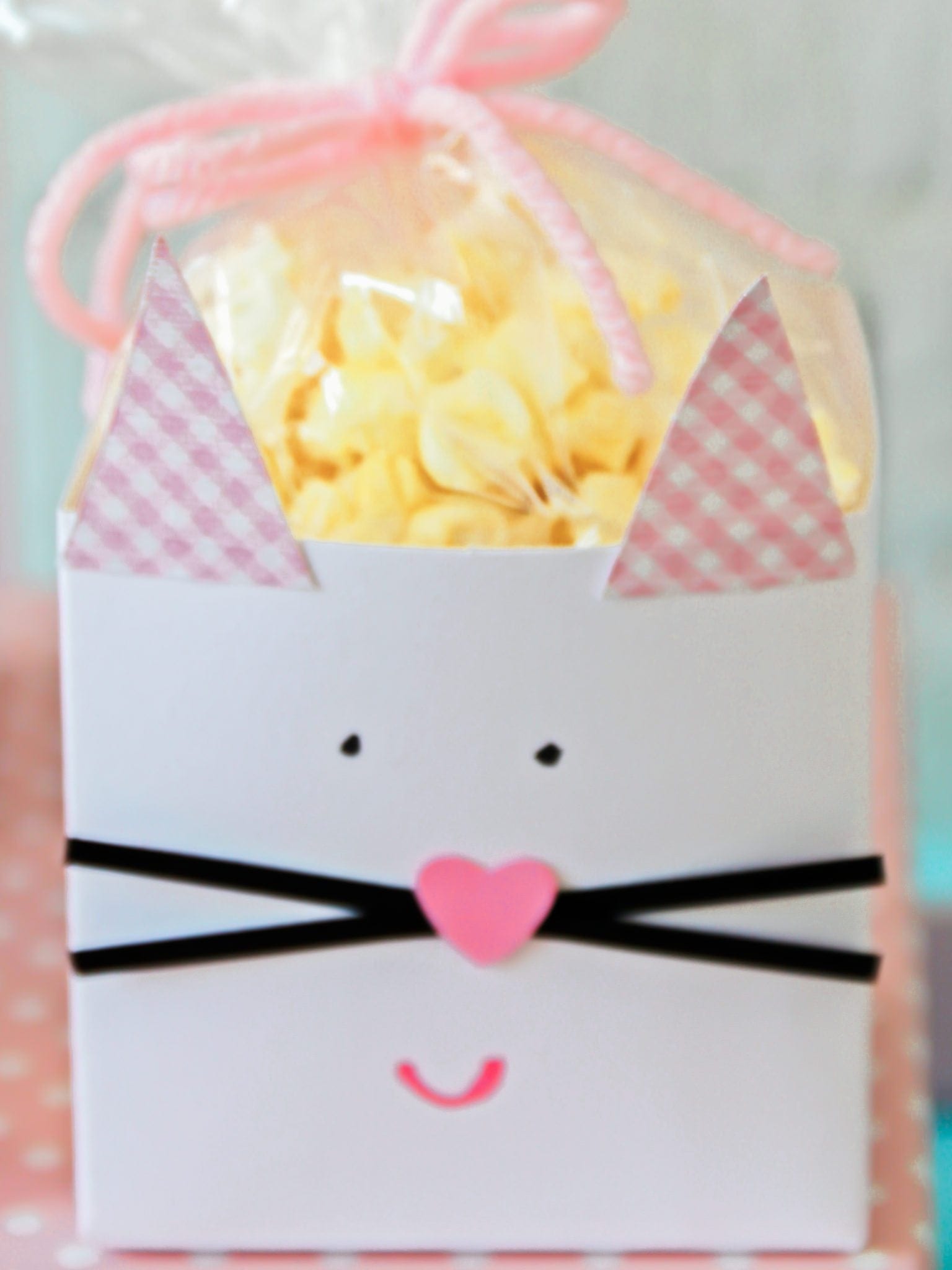 Cat goodie bags for childrens party.