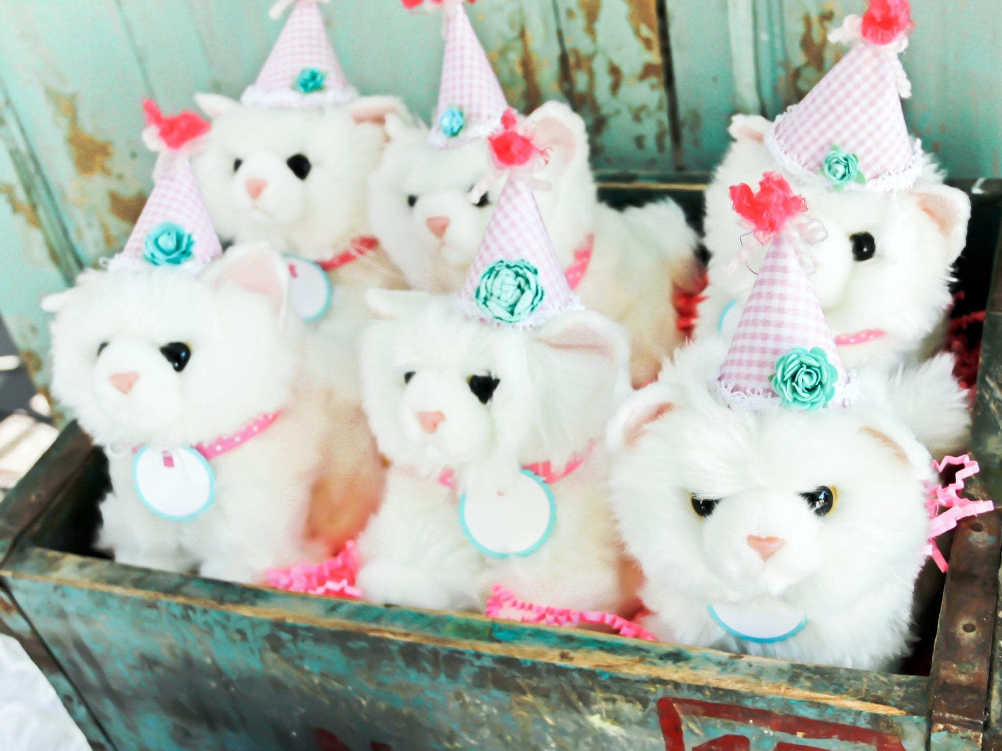 Party decor for a kitty themed birthday party