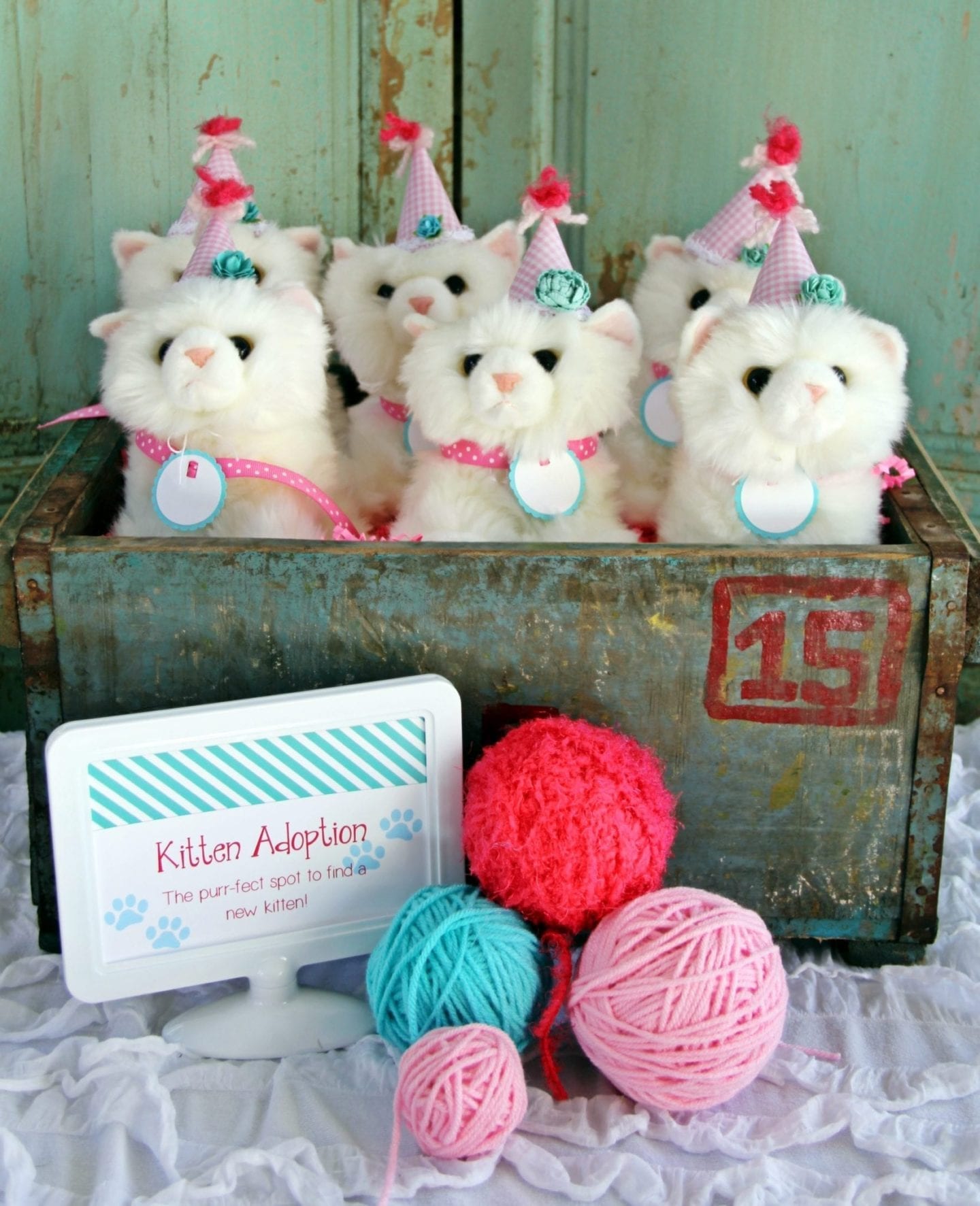 How to decorate for a cat birthay party