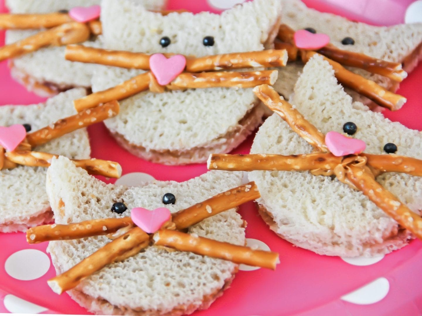 Kitten sandwiches