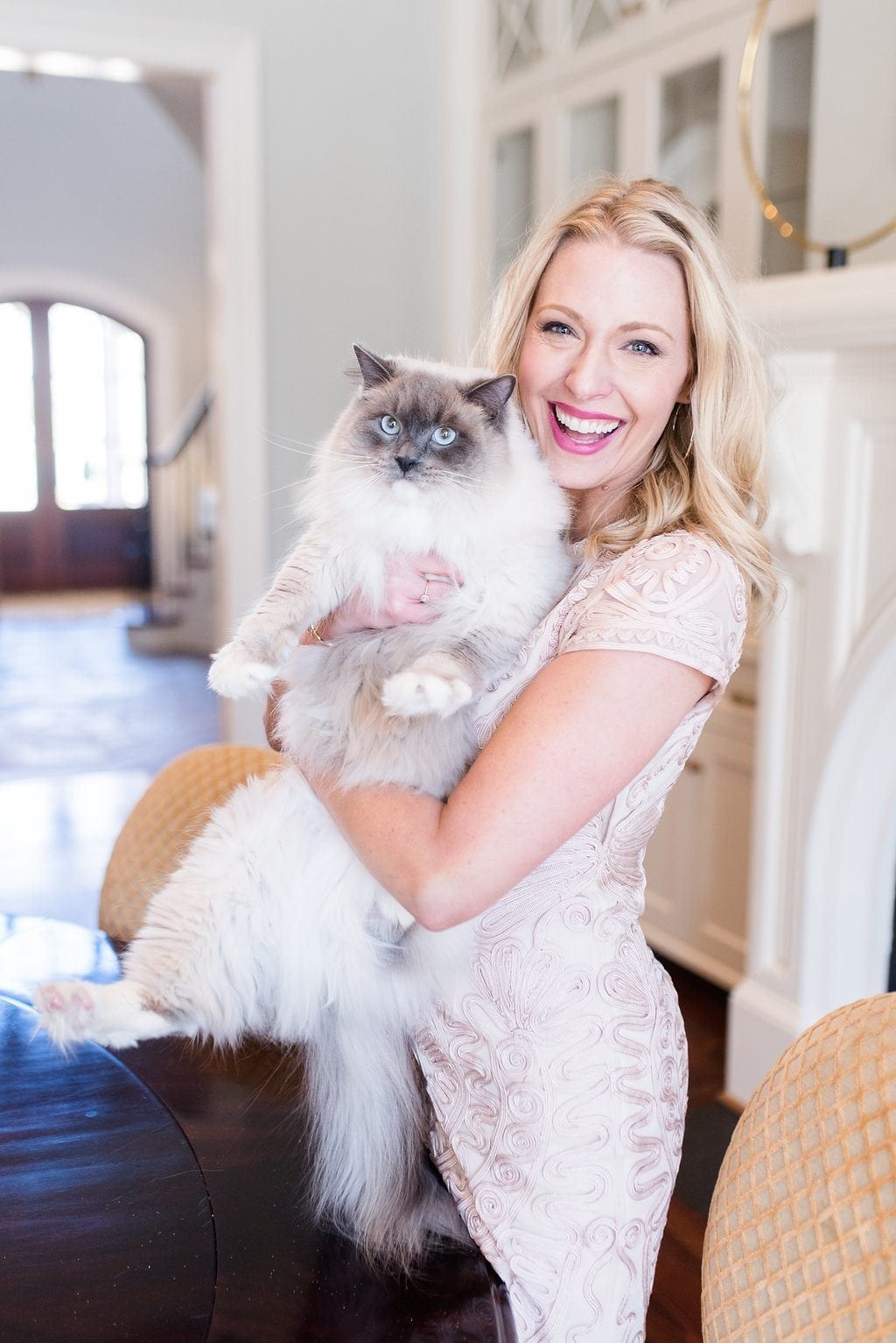 Ragdoll cat and Atlanta blogger, bluegraygal. Nordstrom top dresses.