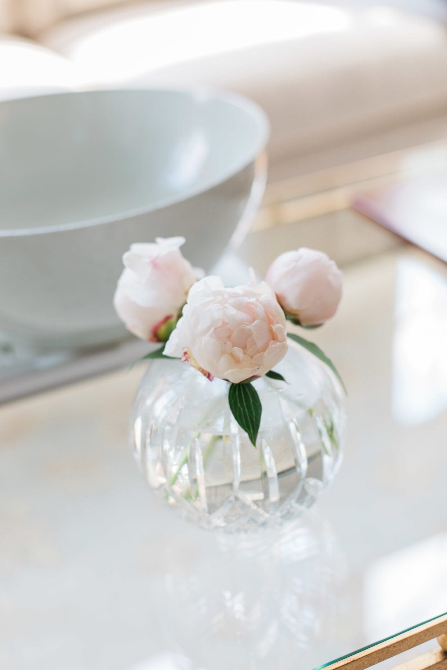 Soft pink peony blooms in Waterford Vase. How to cut peony blooms.