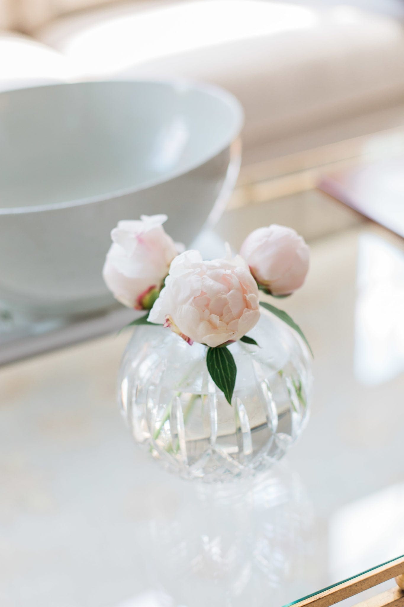 5 Techniques for How to Keep Cut Peonies Fresh Longer