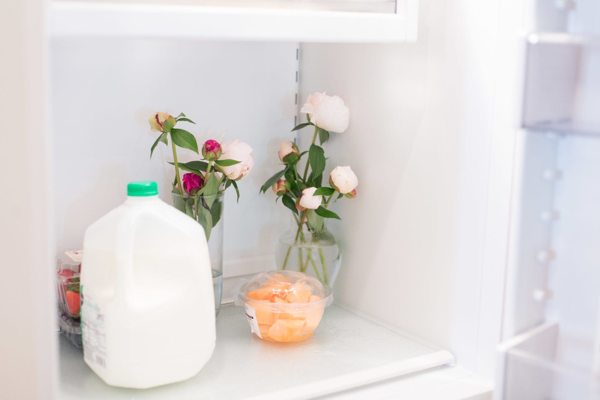 Keeping peonies in the refrigerator and tips to keep peonies alive longer.