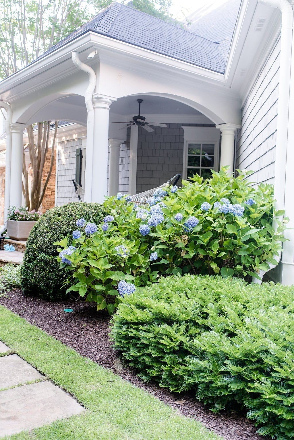 Where to plant hydrangea. Atlanta home with cedar siding and blue Endless Summer hydrangea bush.