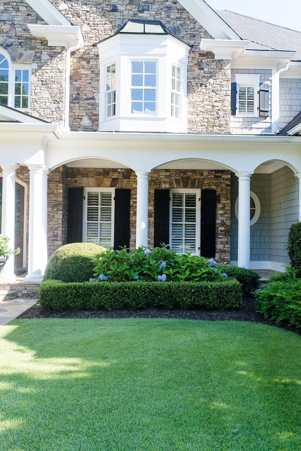 Where to plant hydrangea in the south.