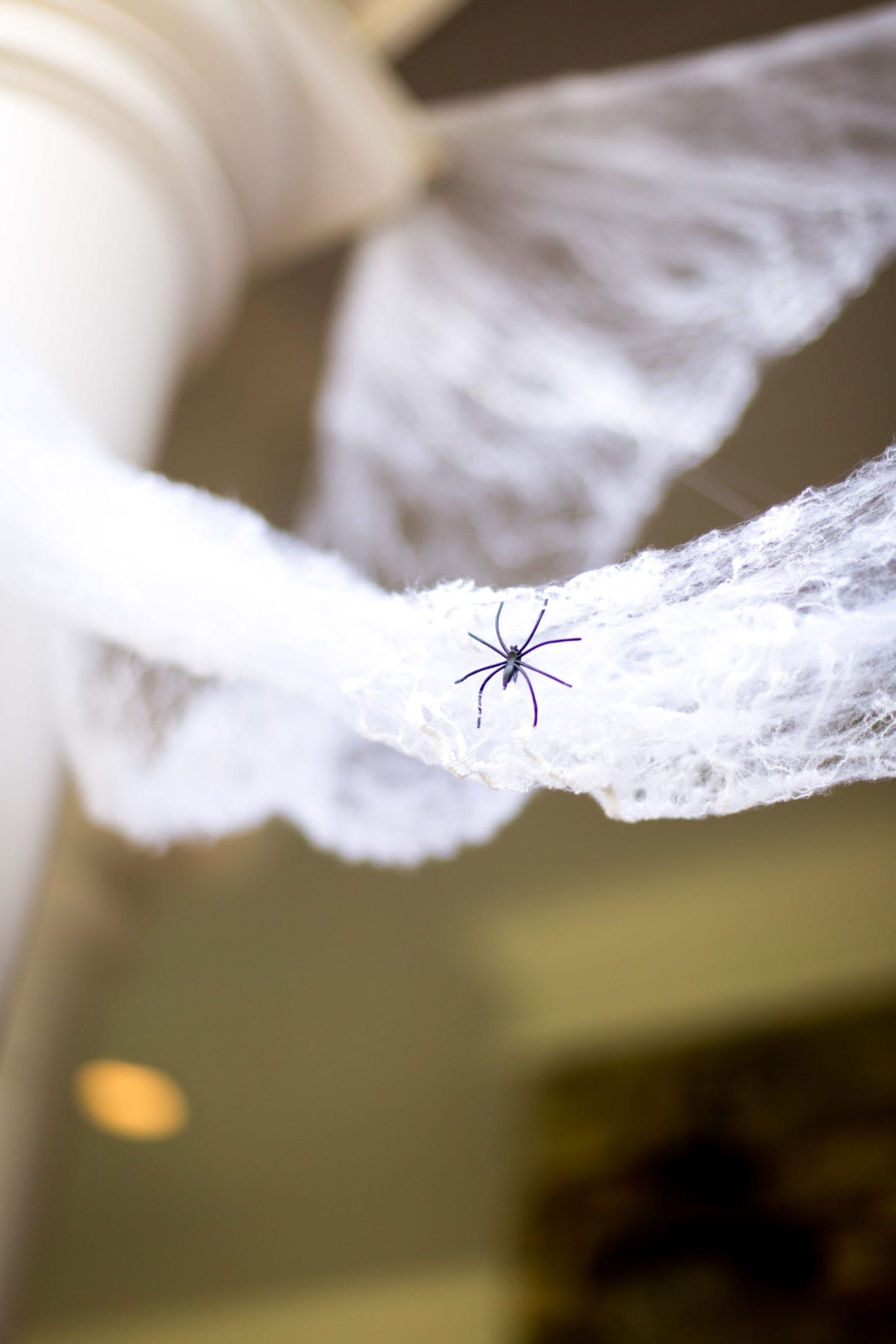 Spider Web decorations