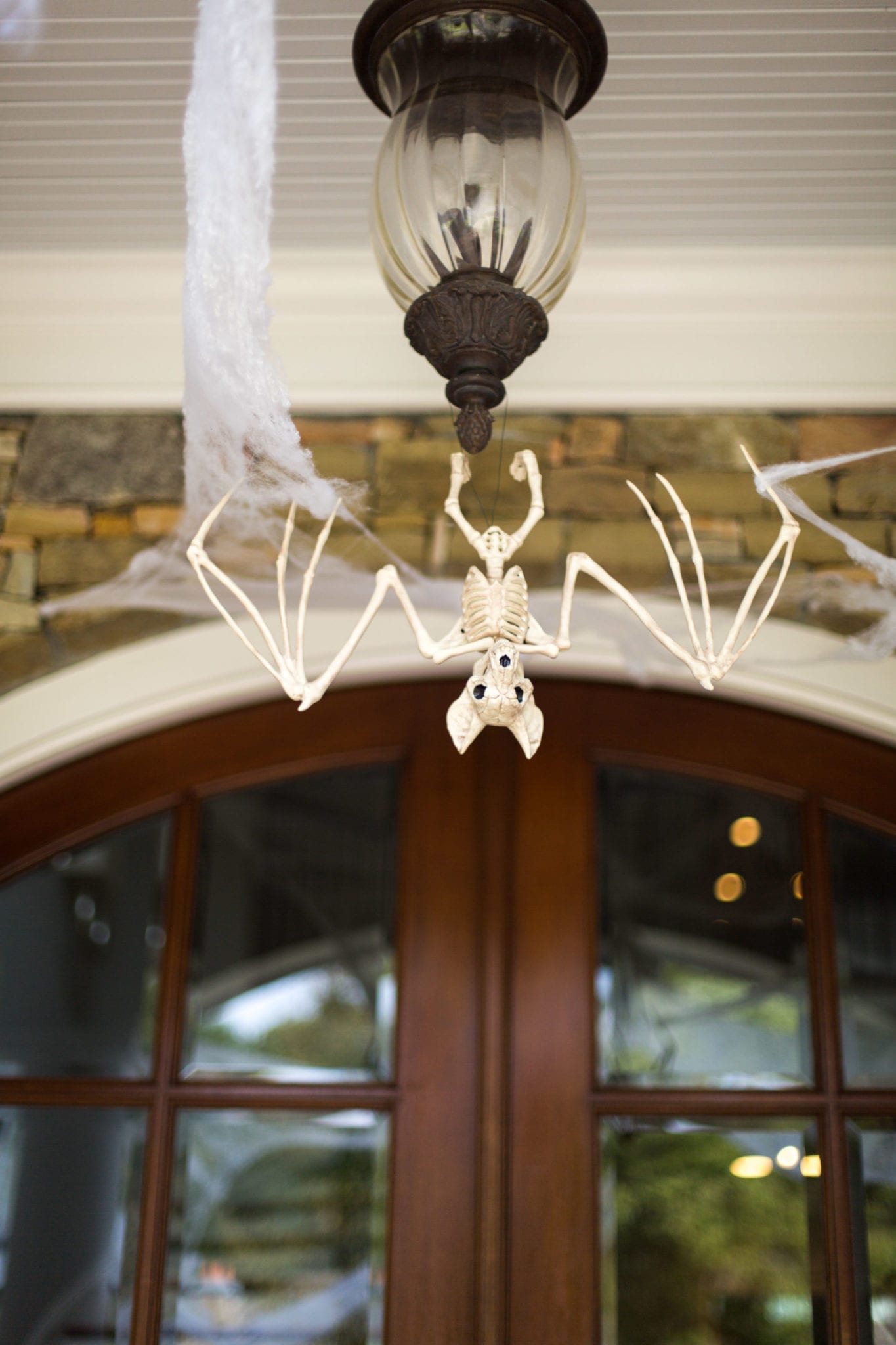 Bat Skeleton hanging from lantern.