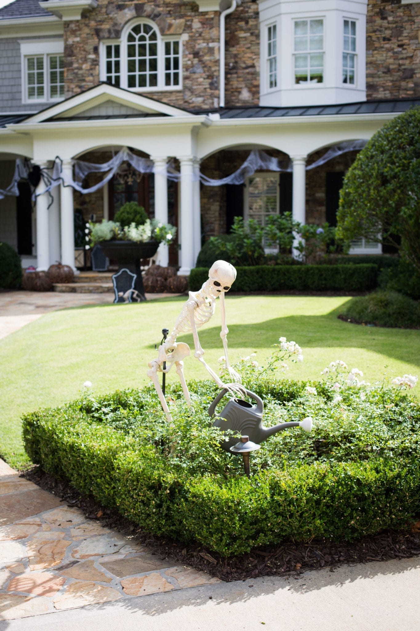 Moveable Skeleton Halloween decorations.