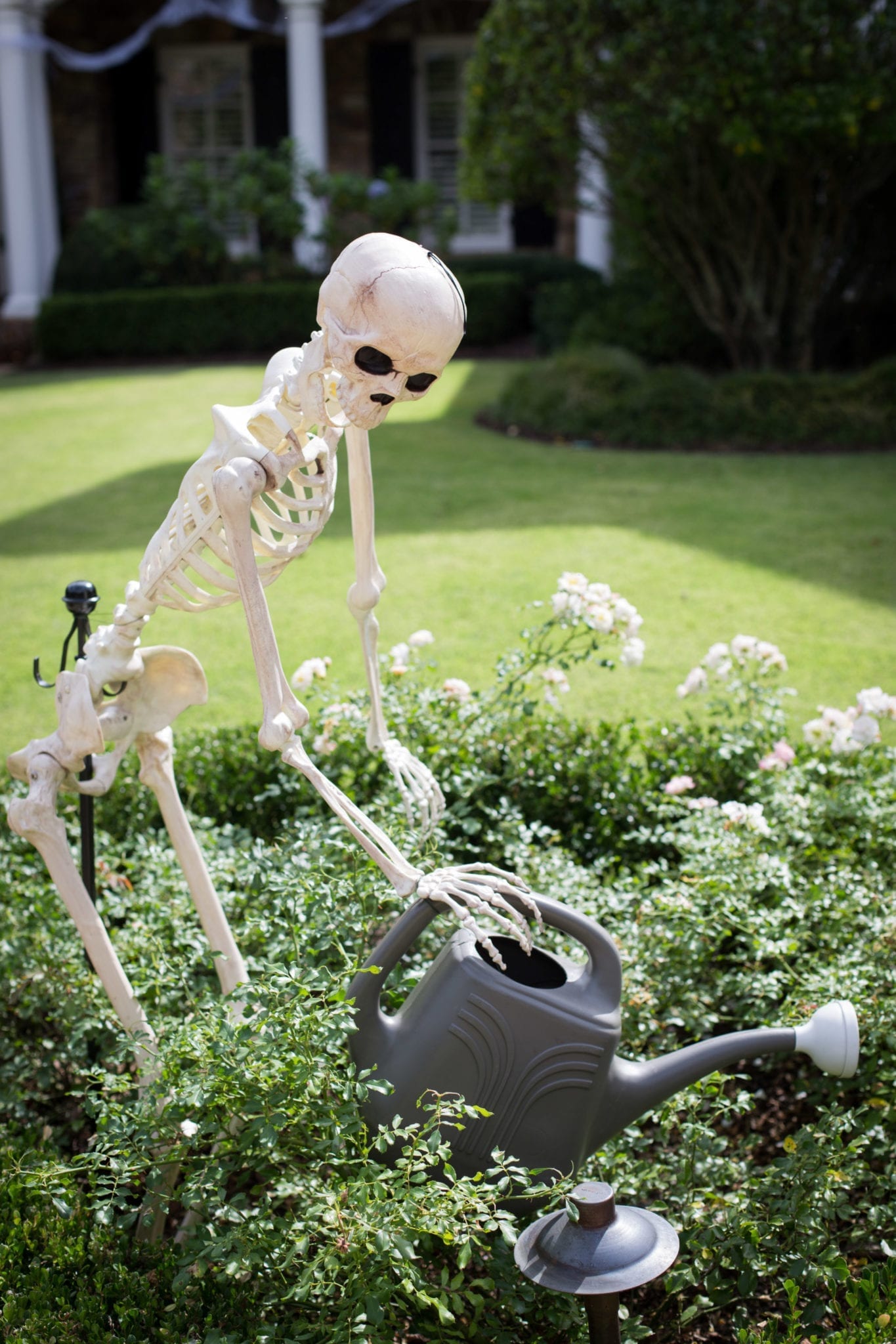 Funny ways to set up skeletons for Halloween