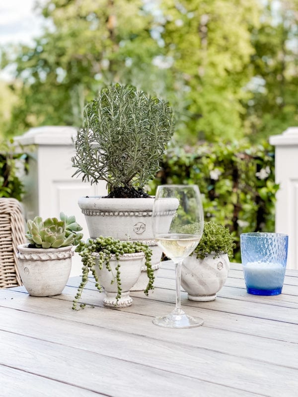 Mini container planters for outdoor table setting.