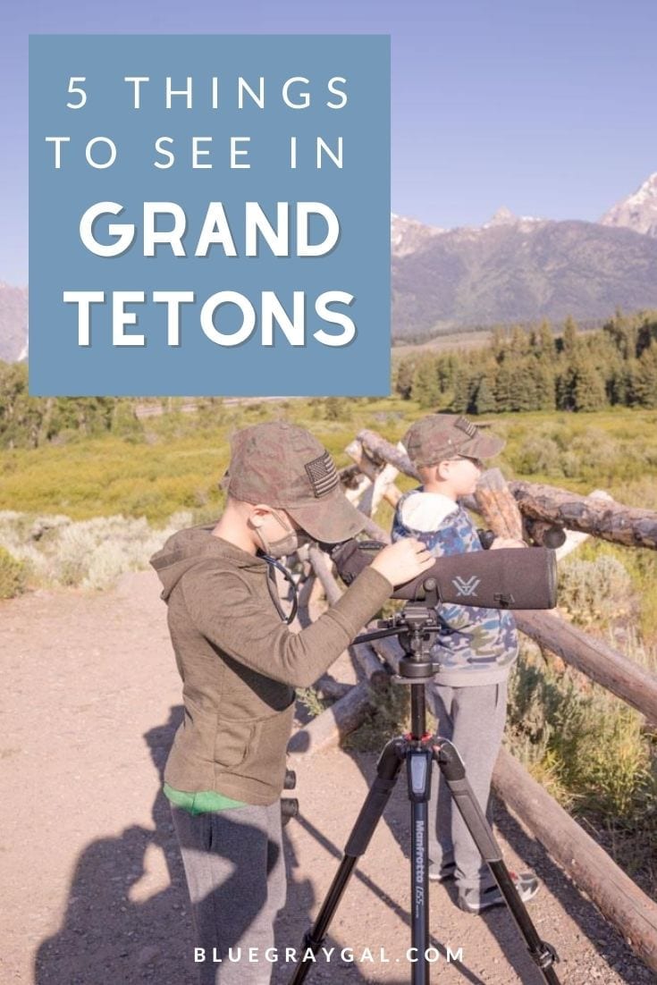 What to do in Grand Tetons with kids.
