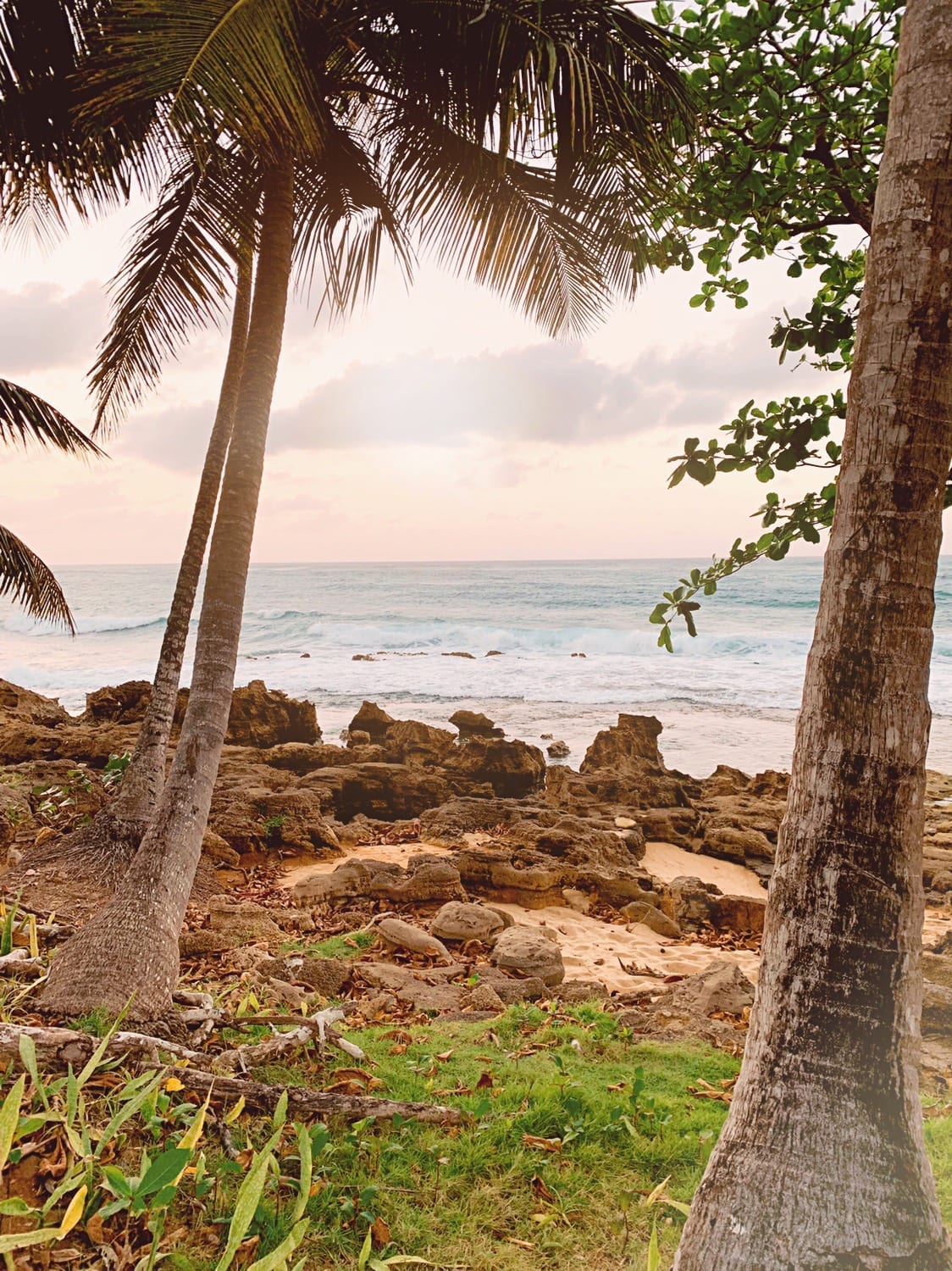 Dorado Beach in Puerto Rico. The rocky beach area of the Ritz Carlton Reserve.
