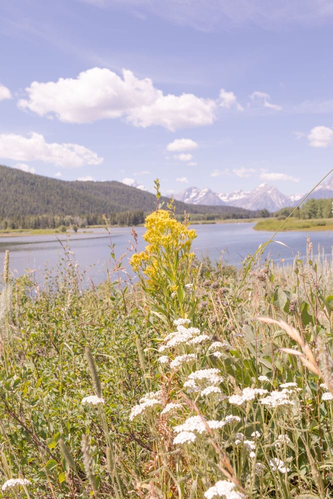 Our family of five just got back from Jackson Hole. We all voted and here are our 5 top things to do in Grand Teton. Among them are the Snake River Rafting, Phelps Lake (one of the best hikes in Grand Teton), seeing Jenny Lake Grand Teton & more!