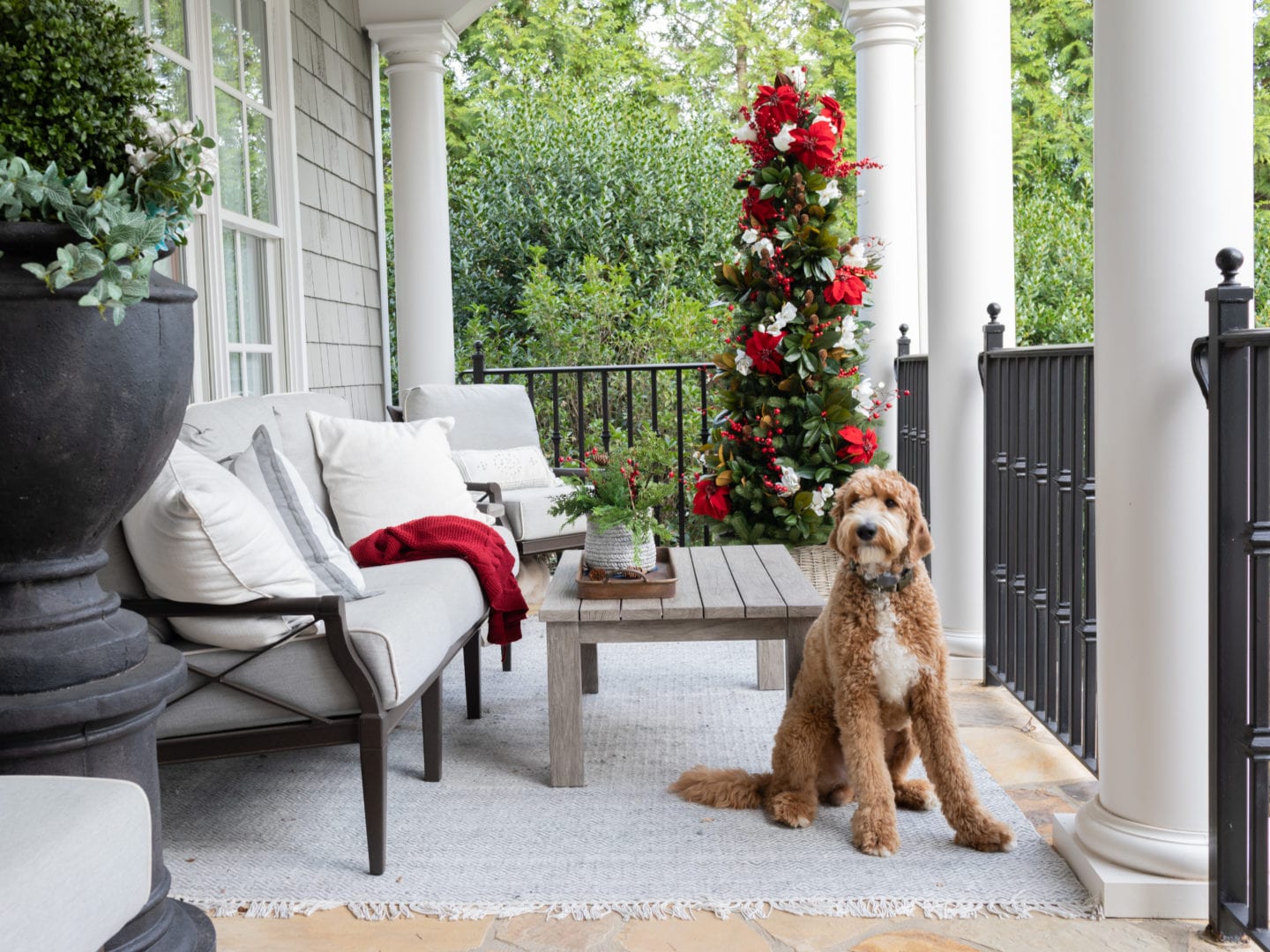 To create a simply southern Christmas, you need basic ingredients: magnolia, poinsettia & a bit of the outdoors! This magnolia tree is beautiful both inside or for balcony christmas decorations! If you need Christmas balcony ideas, this tree along with artificial poinsettia plants for outside may be just the ticket!