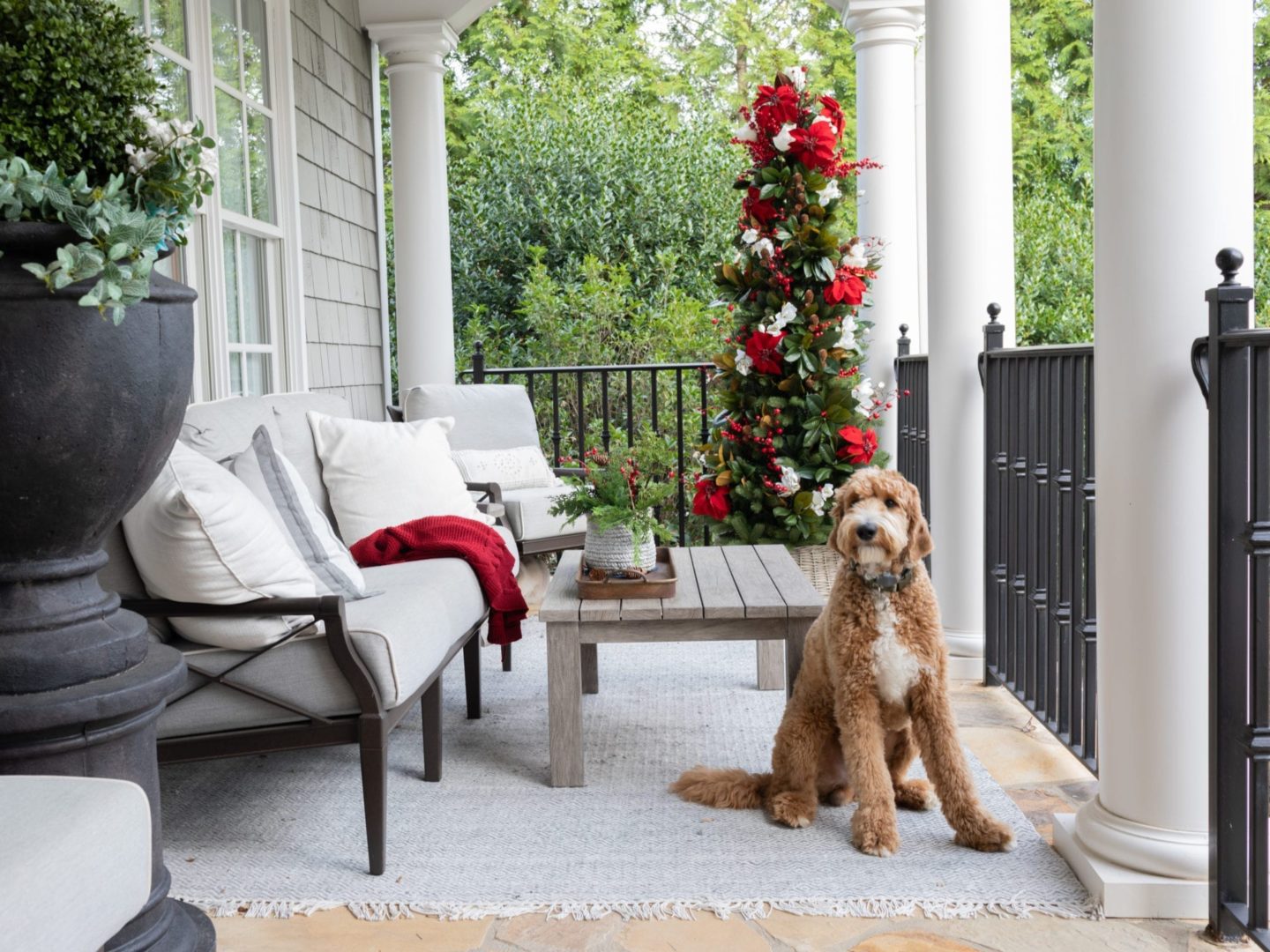 To create a simply southern Christmas, you need basic ingredients: magnolia, poinsettia & a bit of the outdoors! This magnolia tree is beautiful both inside or for balcony christmas decorations! If you need Christmas balcony ideas, this tree along with artificial poinsettia plants for outside may be just the ticket!