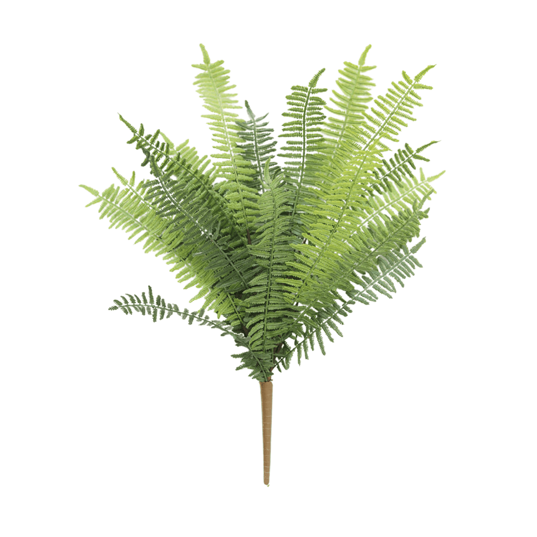Fake Boston fern