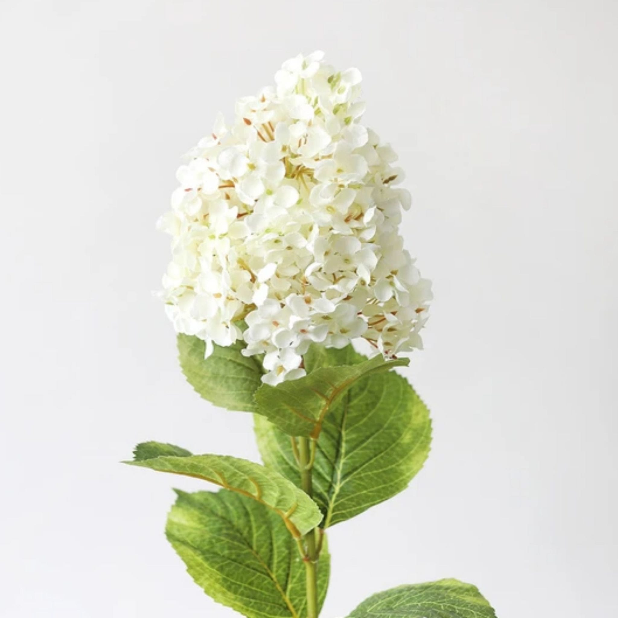 Cream Faux Oakleaf Hydrangea Flowers