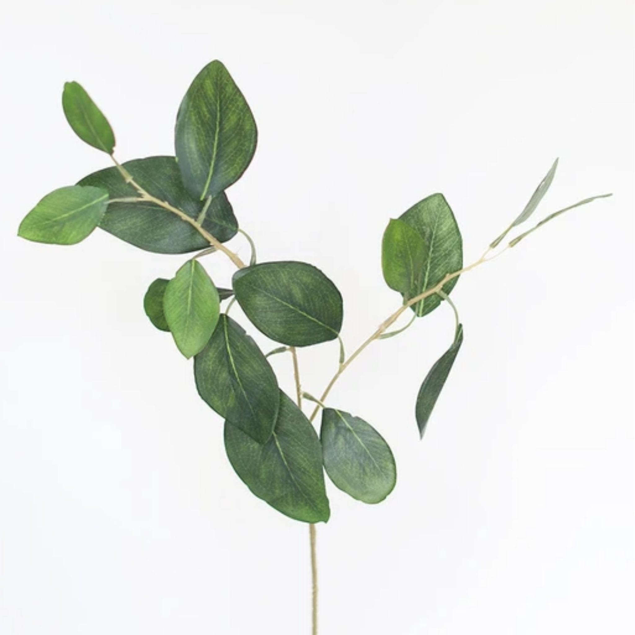 Faux Silver Dollar Eucalyptus Leaf Spray