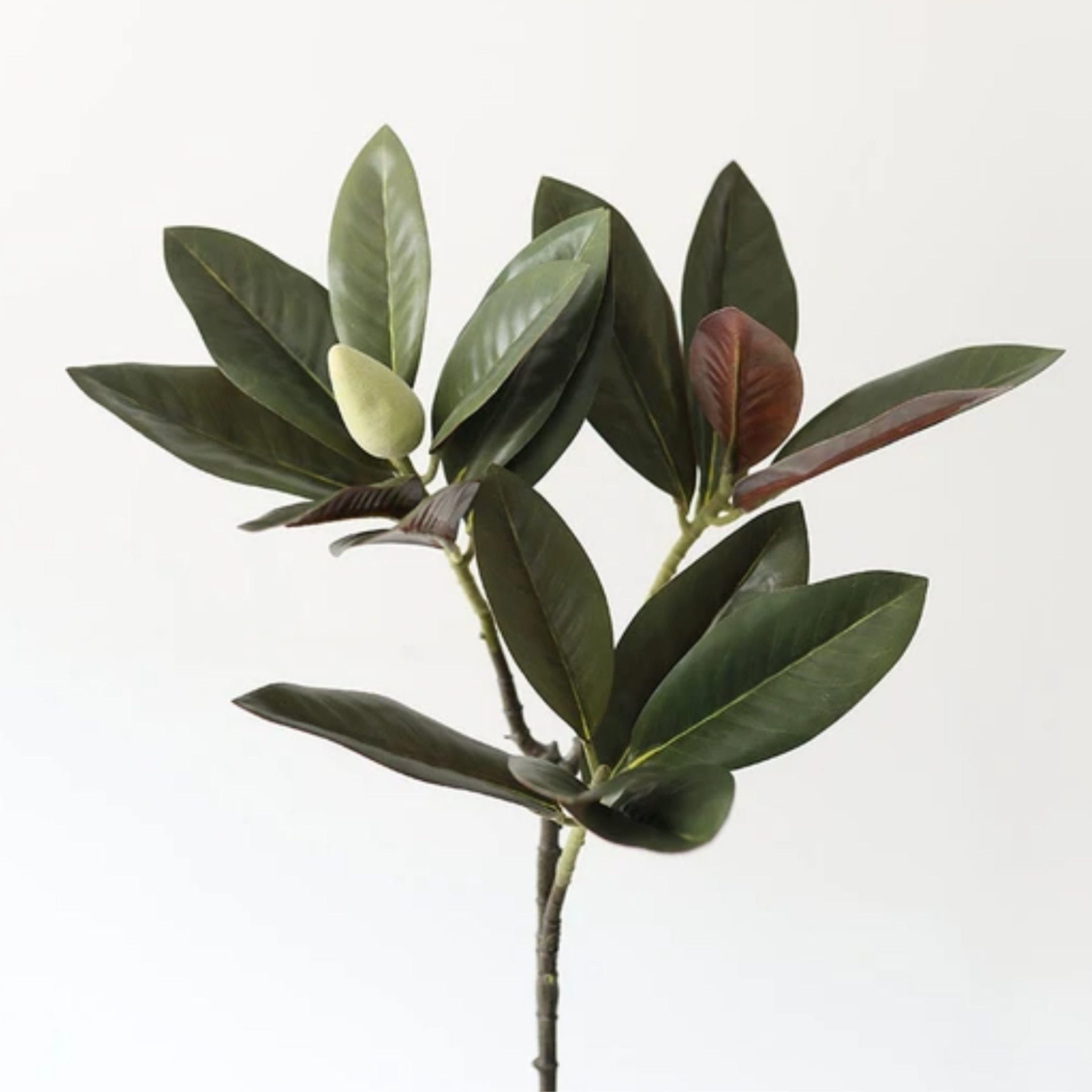 Faux Magnolia Leaf Spray in Dark Green