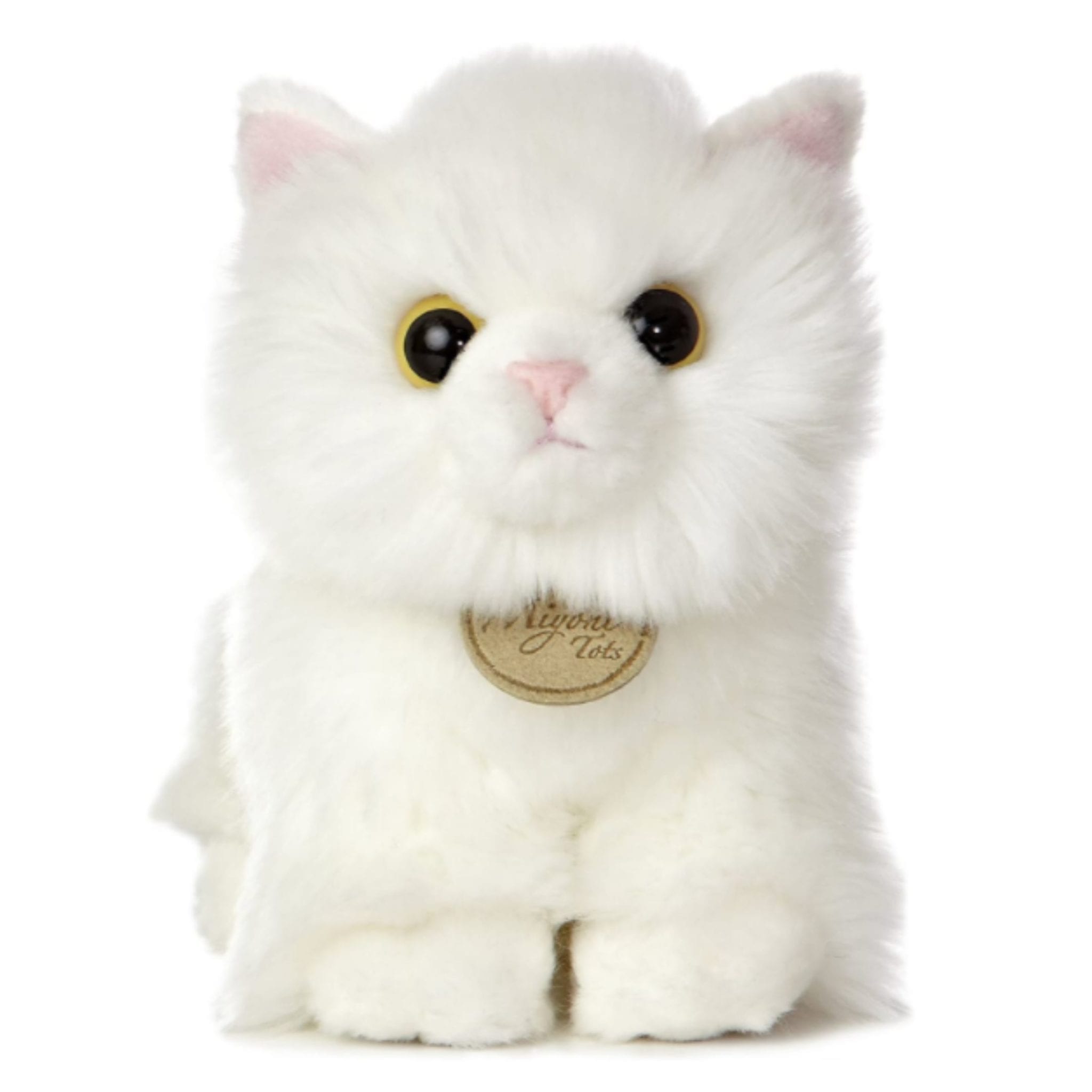 White Angora Kitten