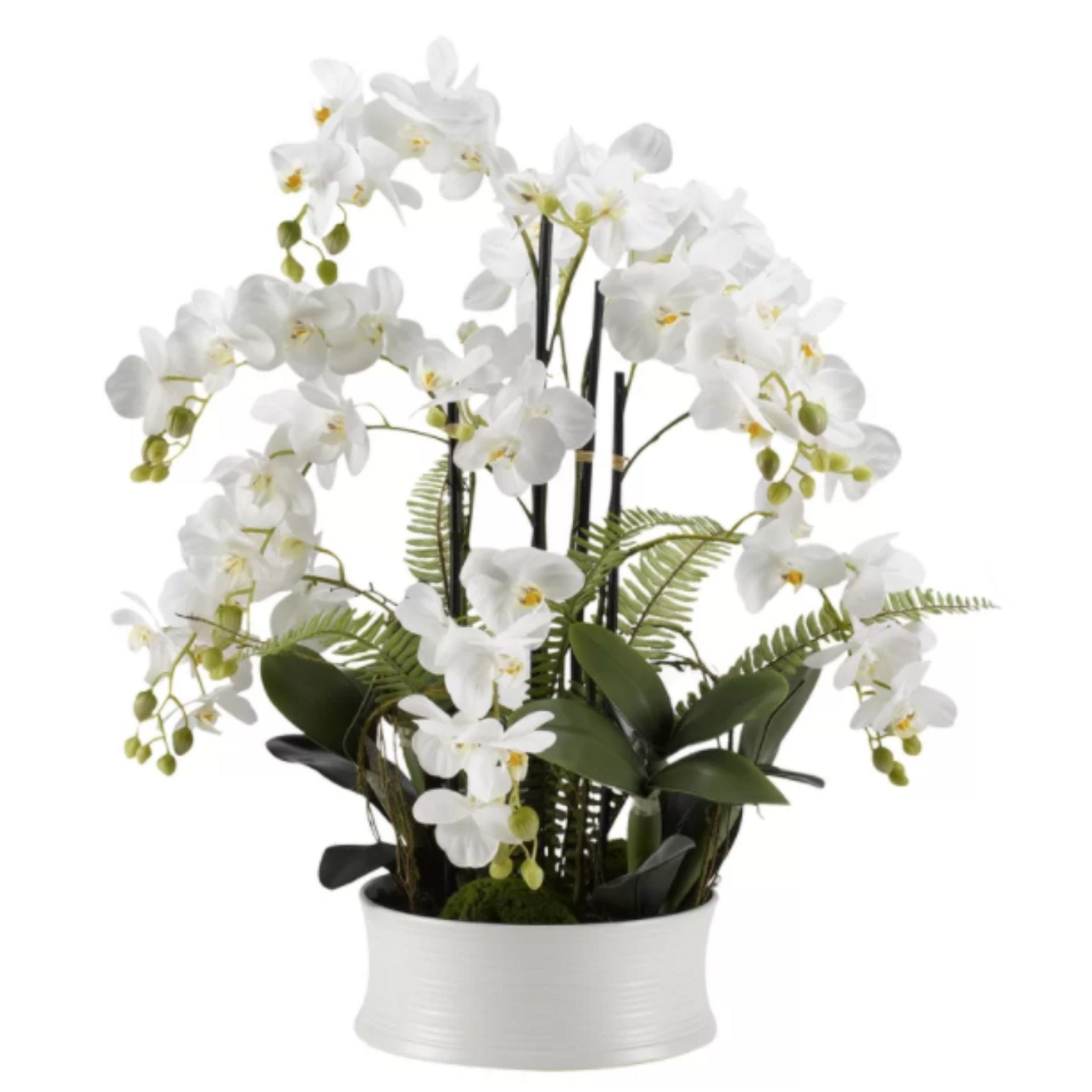 Orchids Floral Arrangement in Ceramic Dish