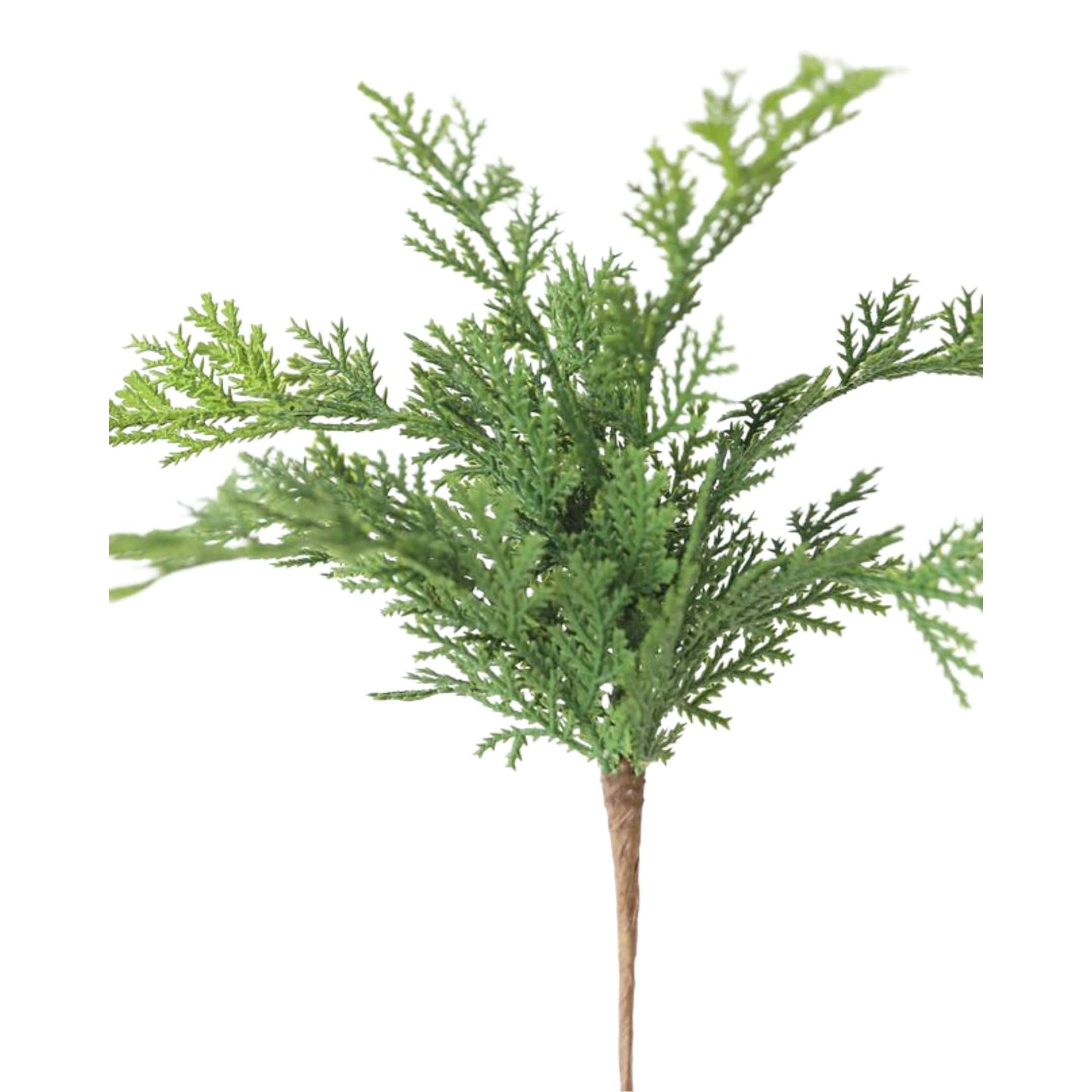 Cedar Pine Decor