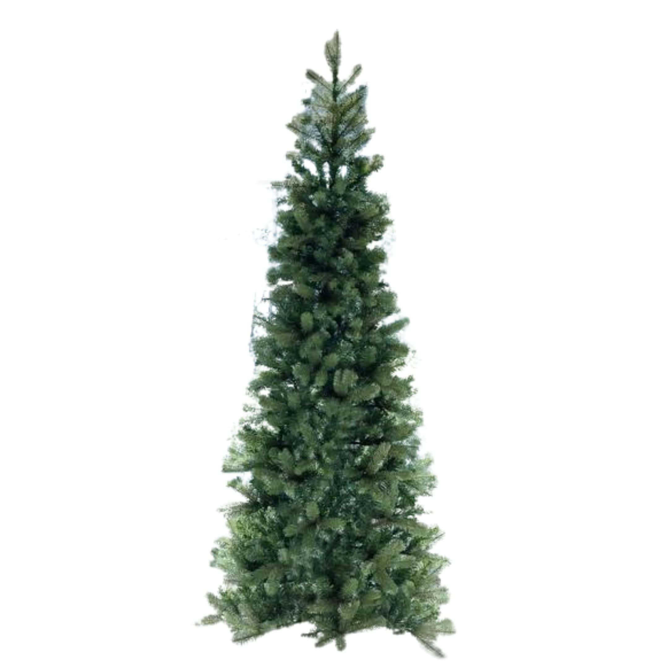 Douglas Fir Christmas Tree