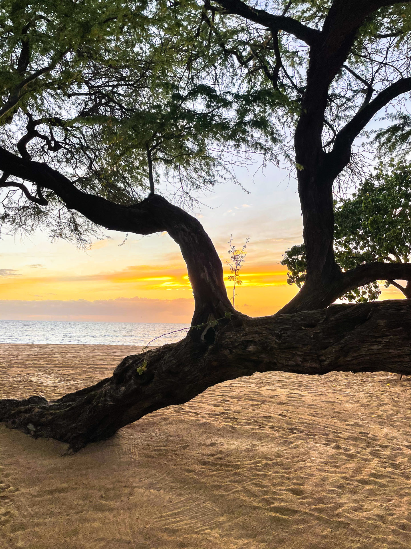 Review of the Lanai Four Seasons resort.