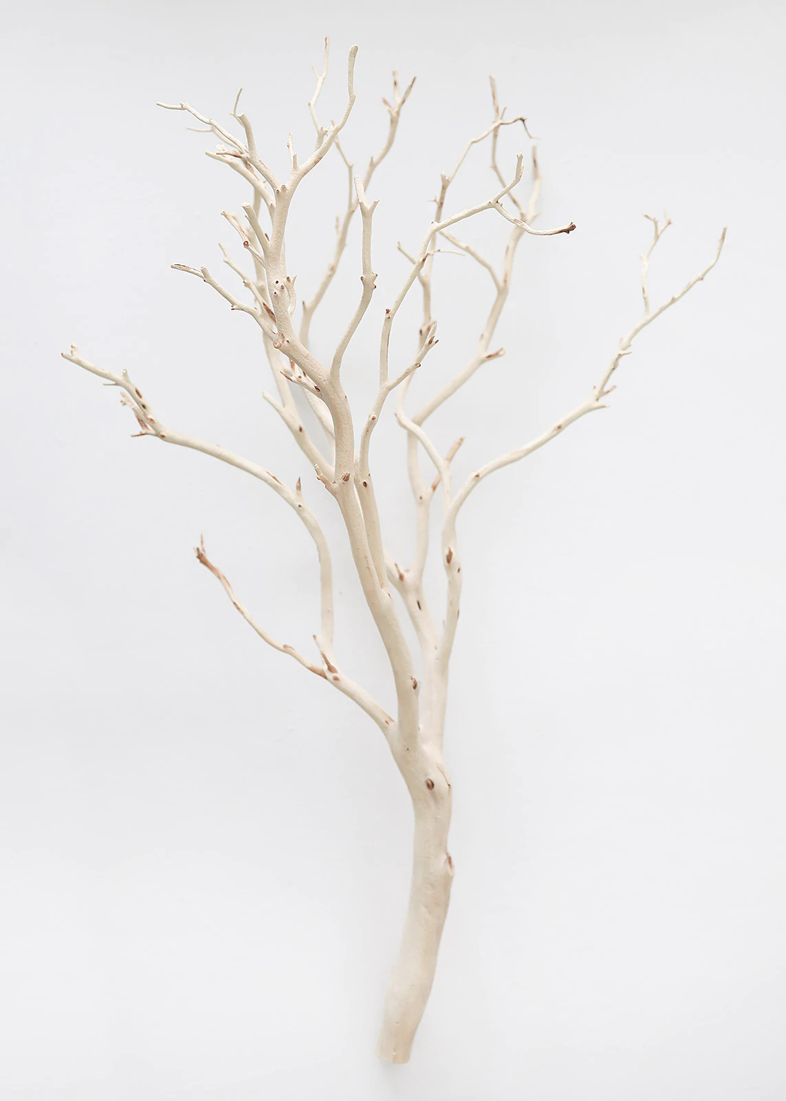 Manzanita Branches