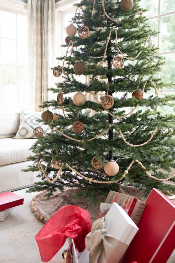 Bluegraygal Bluegraygal